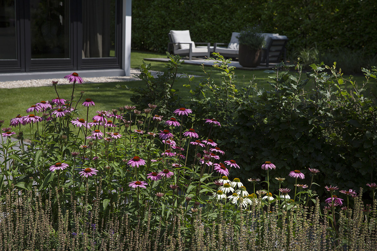 hoveniersbedrijf bunnik hoveniersbedrijf bunnik
