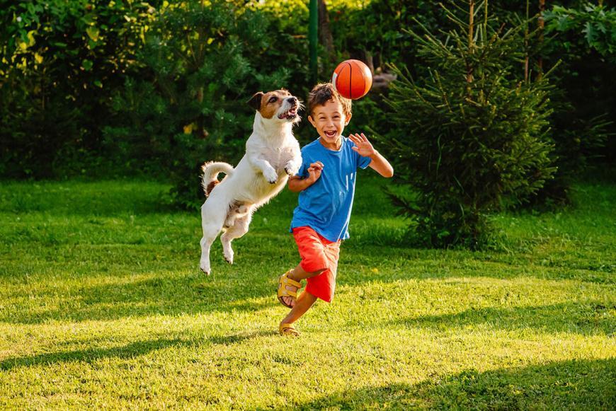 10 tips voor de stijlvolste kindvriendelijke tuin 1 kindvriendelijke tuin