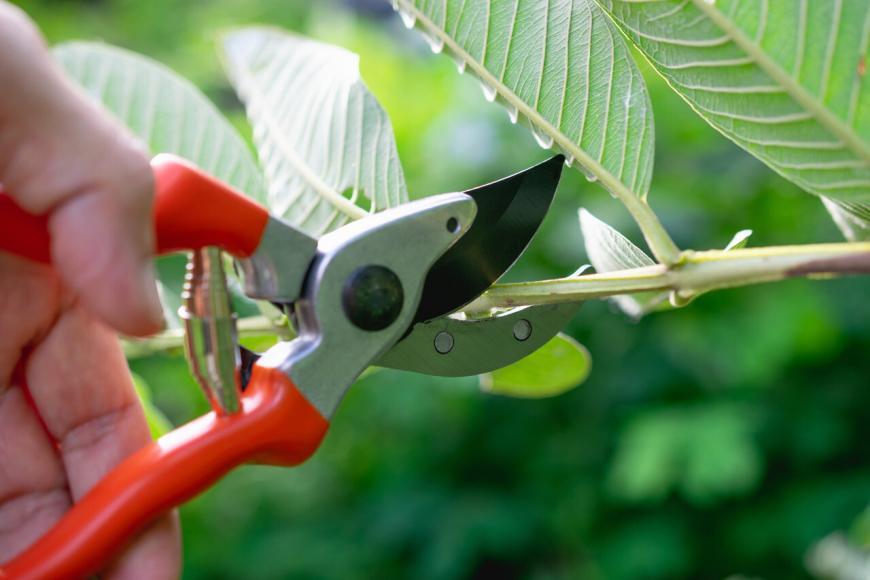 tuinonderhoud voorjaar