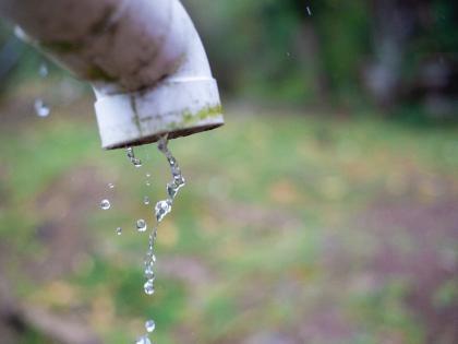 Zo creëer je een klimaatbestendige tuin
