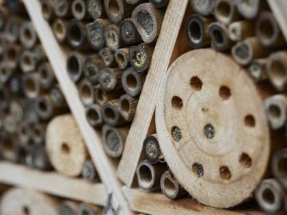 insectenhotel maken