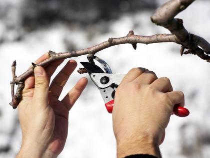 Tips voor tuinonderhoud: maak er een onderhoudsvrije oase van!