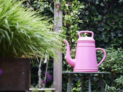 Het belang van goed water geven aan pas geplante planten