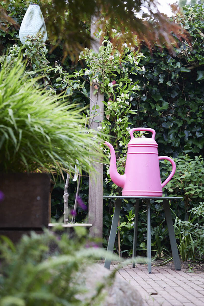 Het belang van goed water geven aan pas geplante planten