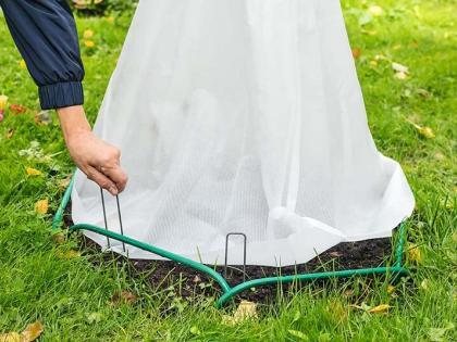 Hoe je je planten kunt beschermen tegen vorst: 7 handige tips