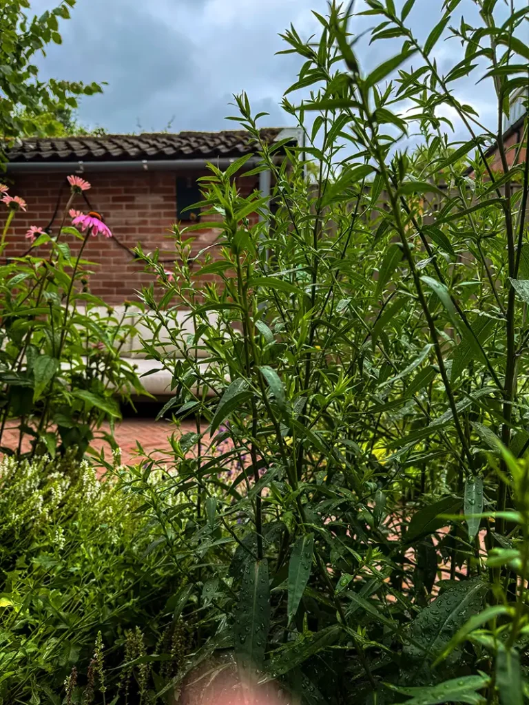 Utrecht Catherina van Renneslaan8