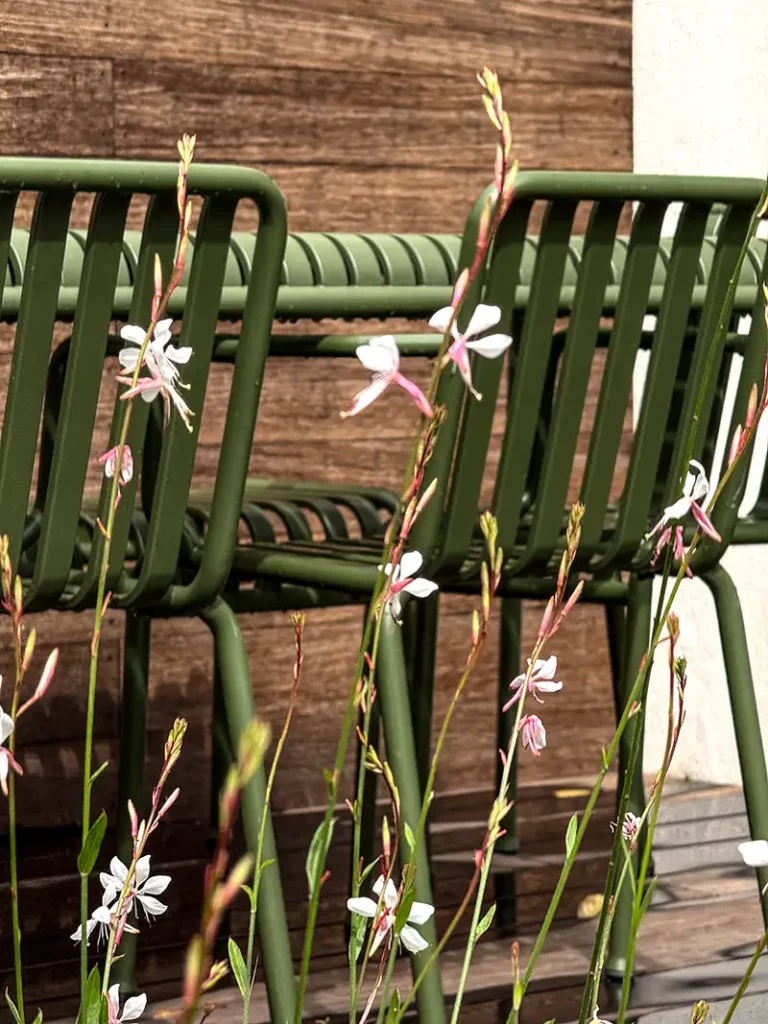 Utrecht Swindenstraat2