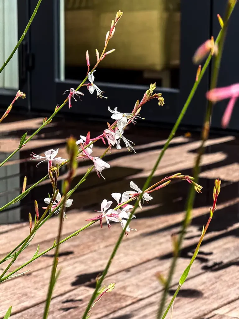 Utrecht Swindenstraat3