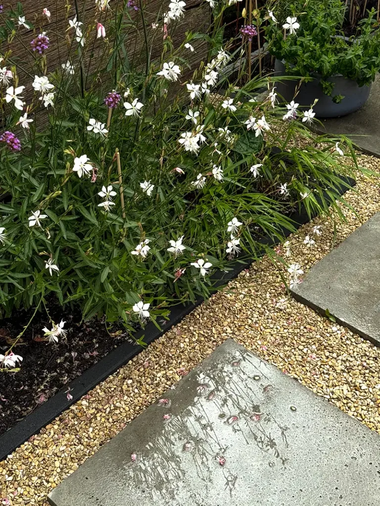 Utrecht Swindenstraat7