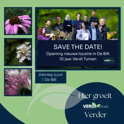 Open dag